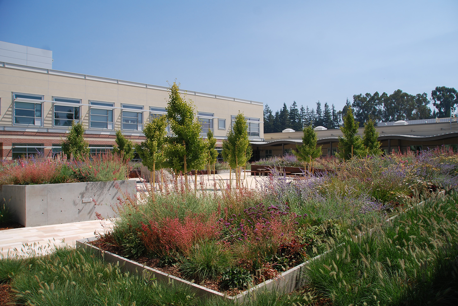 VA Palo Alto Mental Health Facility