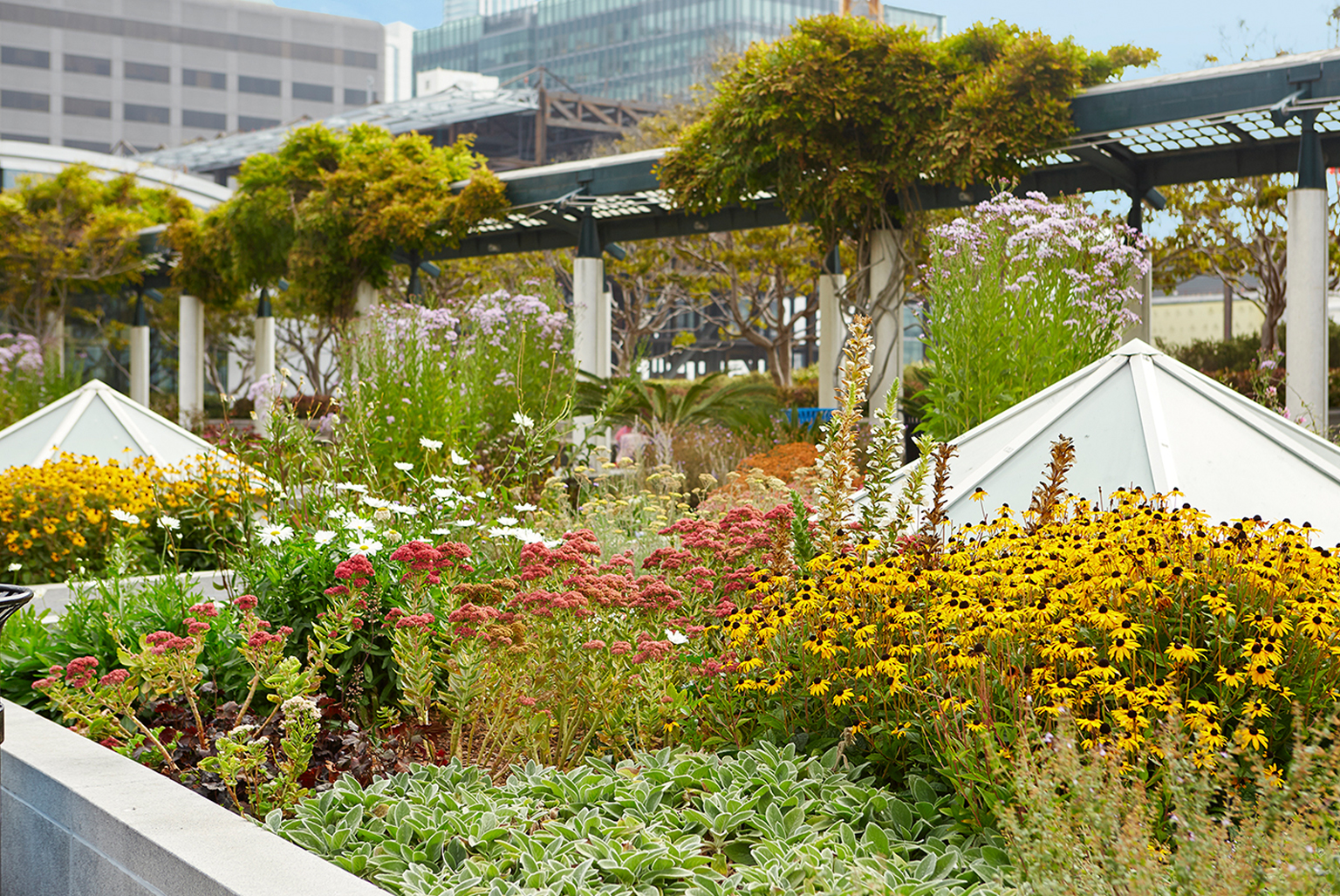 Yerba Buena Sister City Gardens