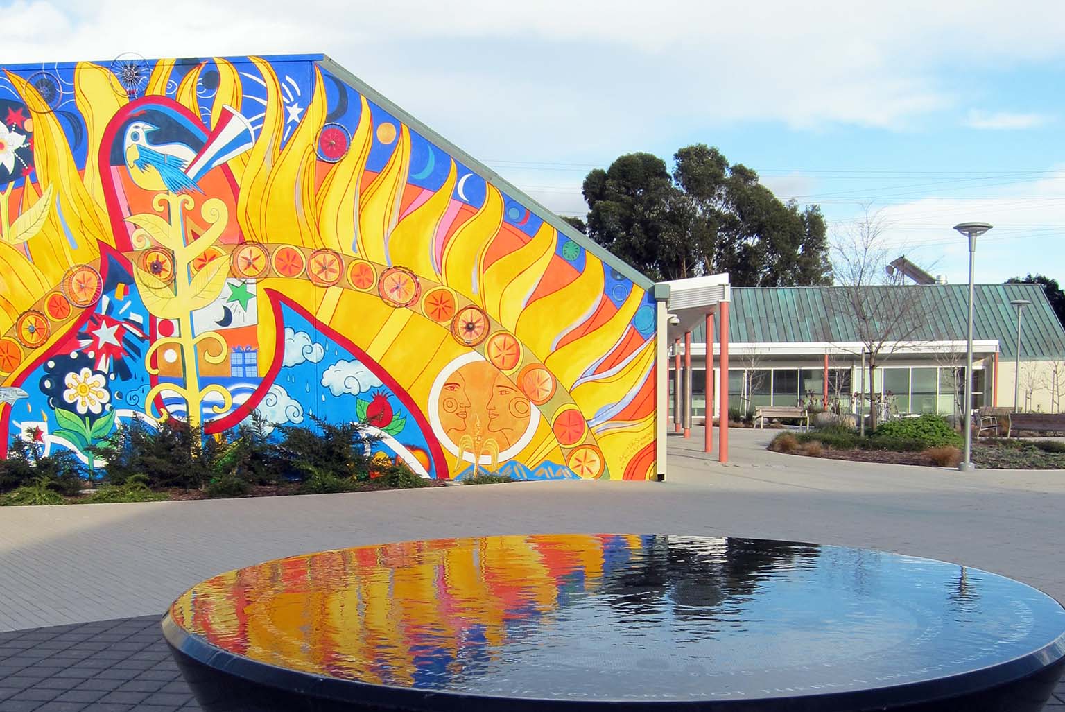 Marin Health and Wellness