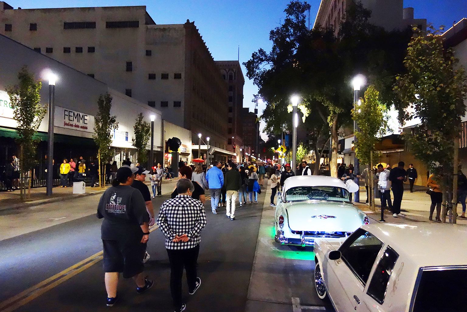 Fulton Mall Rehabilitation