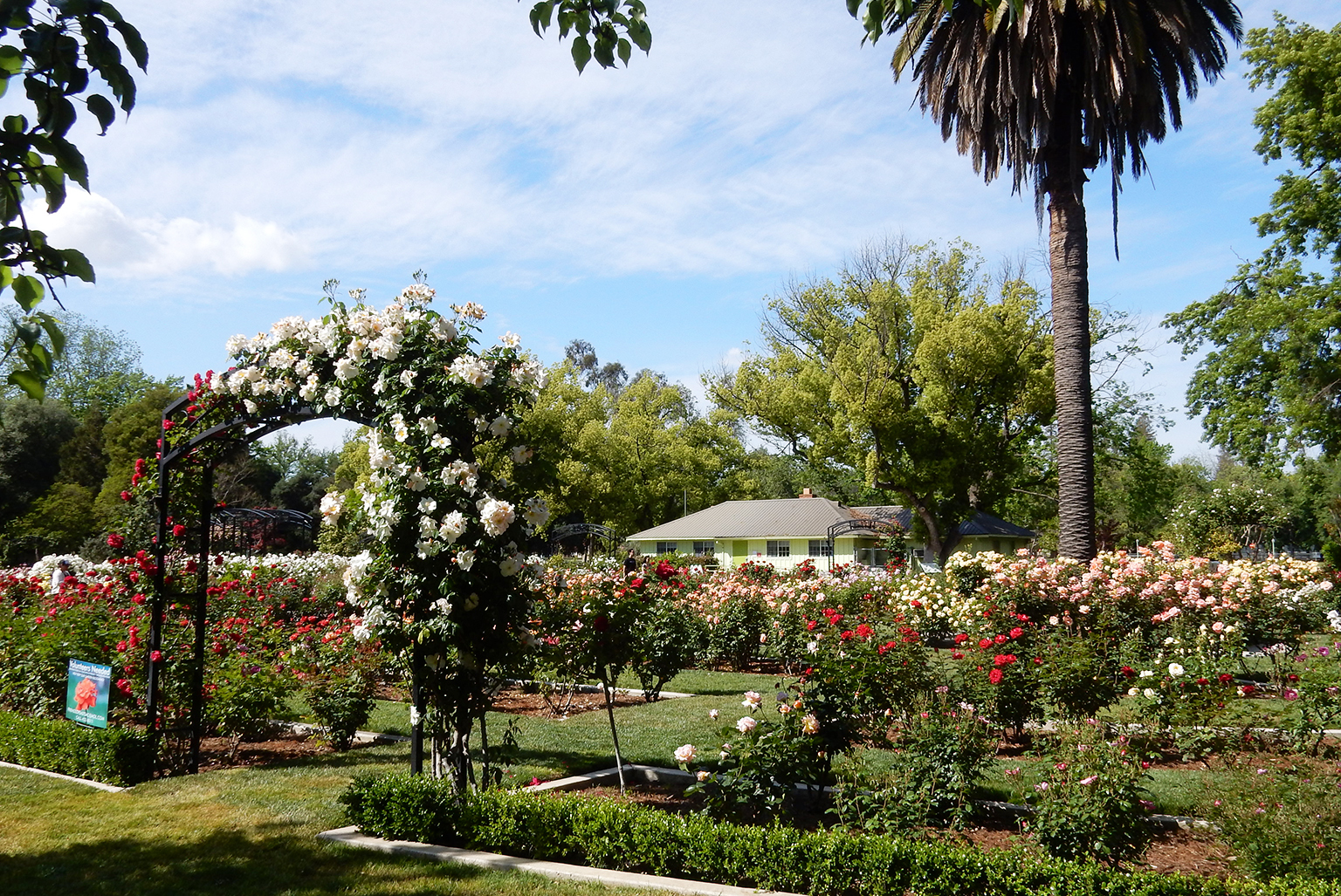McKinley Park National Register Nomination Cultural Landscape Report