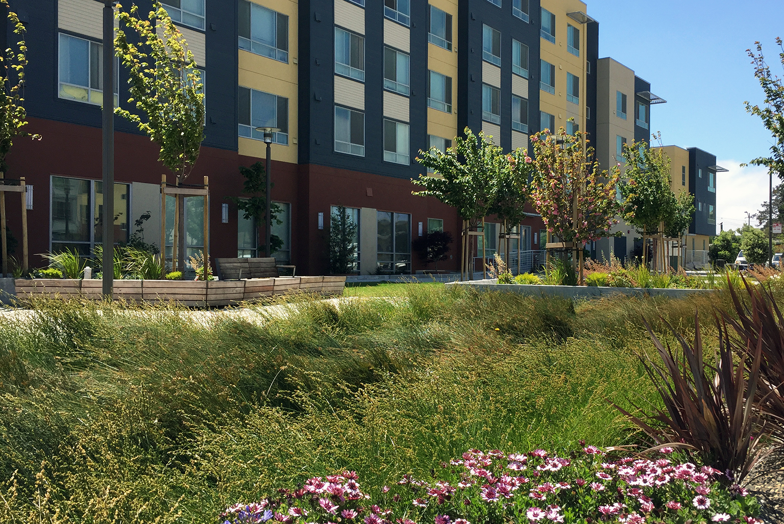 Candlestick Point Subphase 01