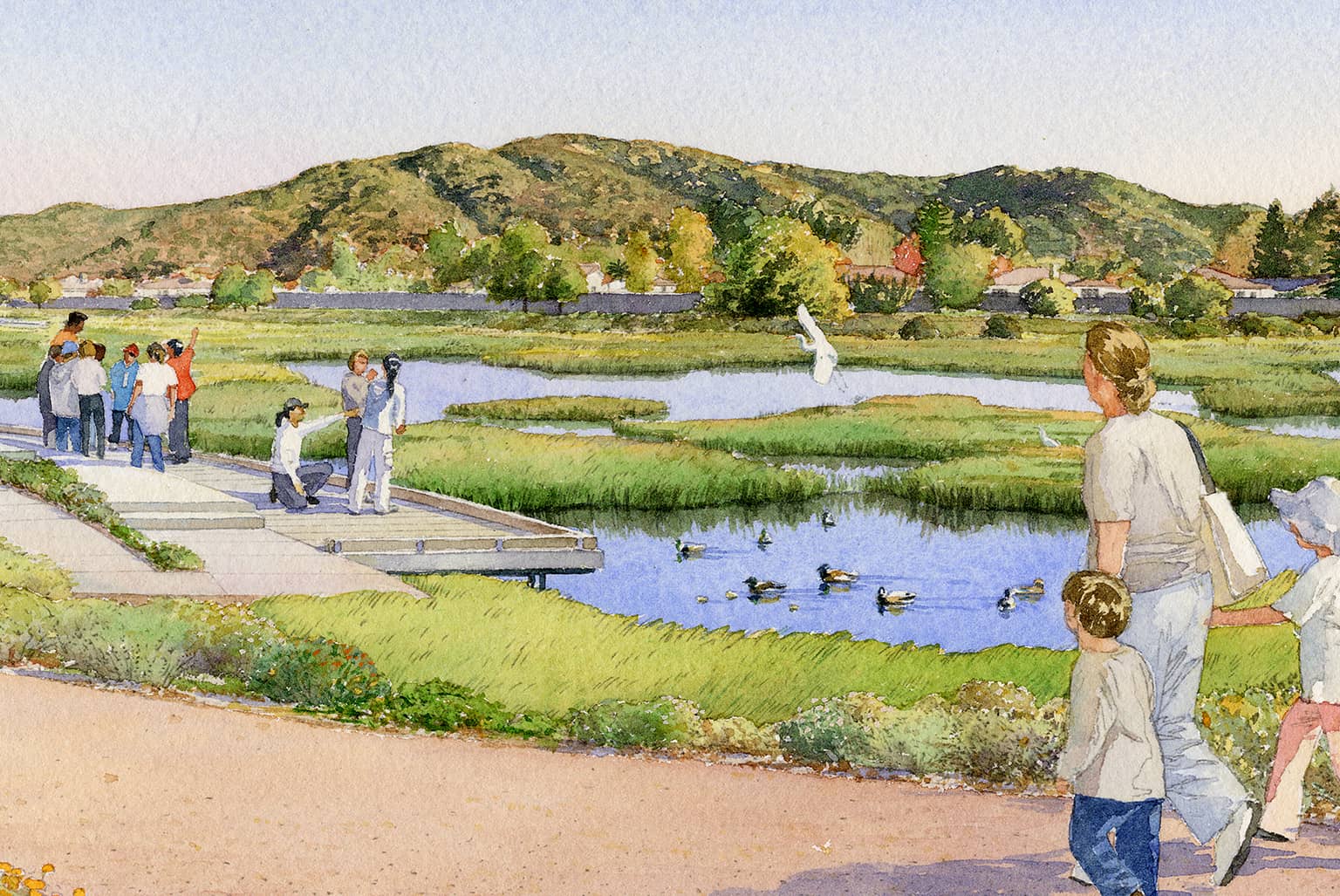 Marin Civic Center Master Plan