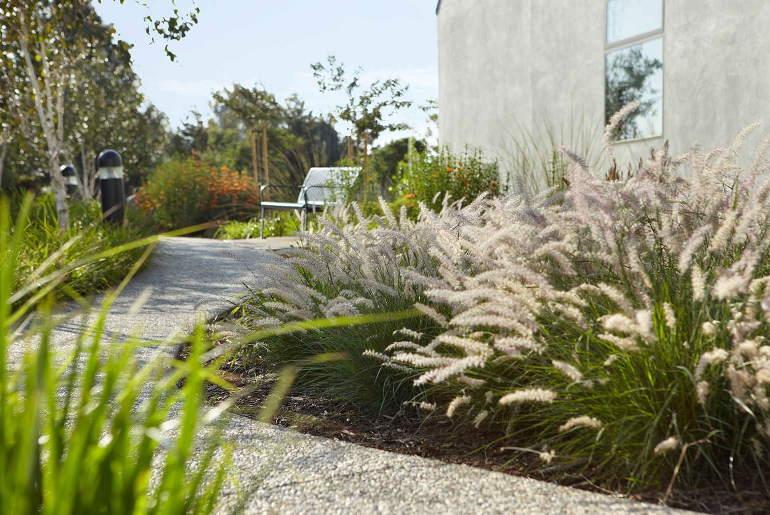 Barbara Lee Senior Center