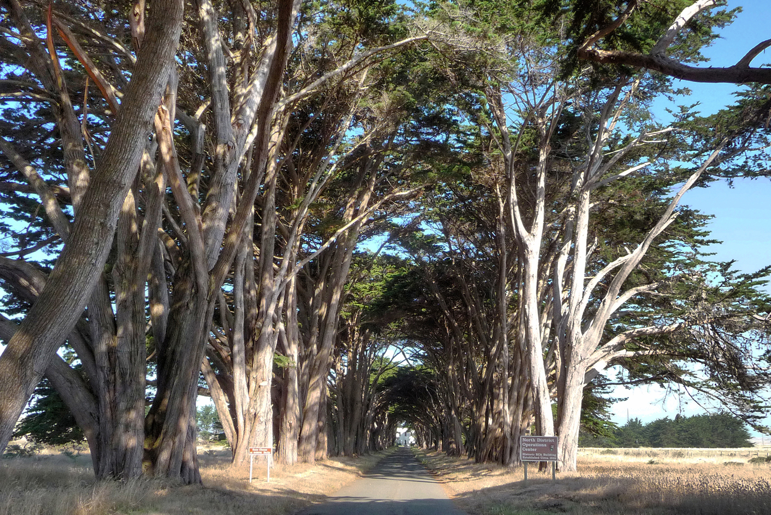 Point Reyes Marconi Station Cultural Landscape Report