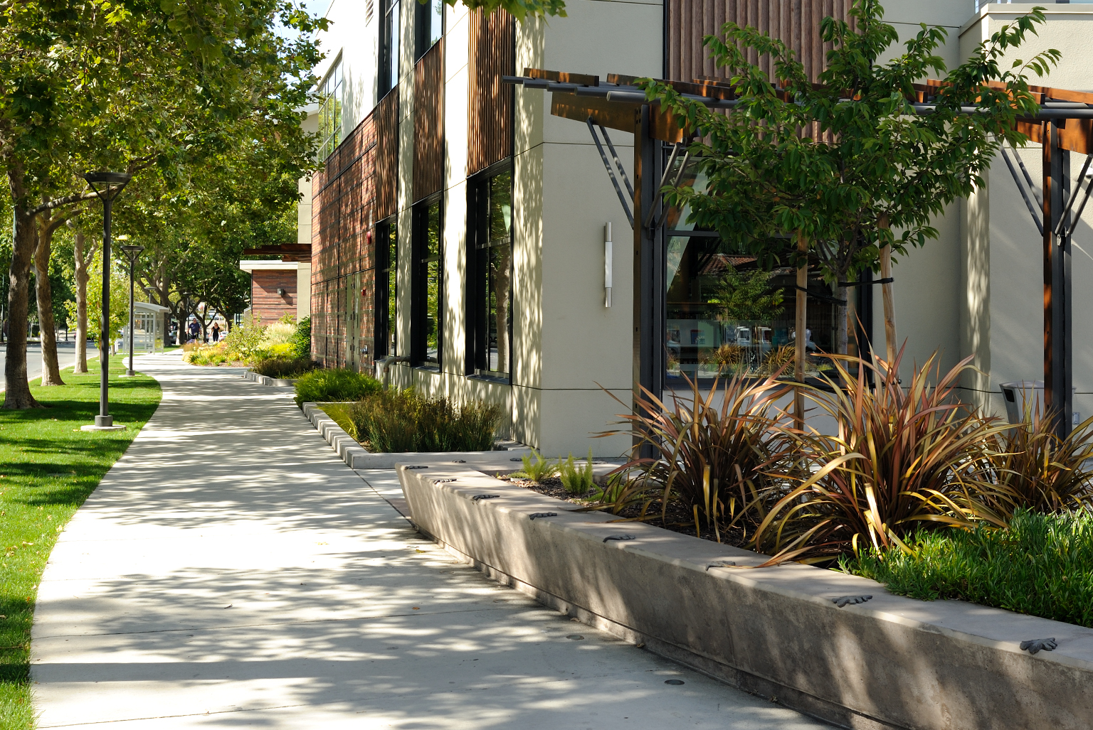 Walnut Creek Library