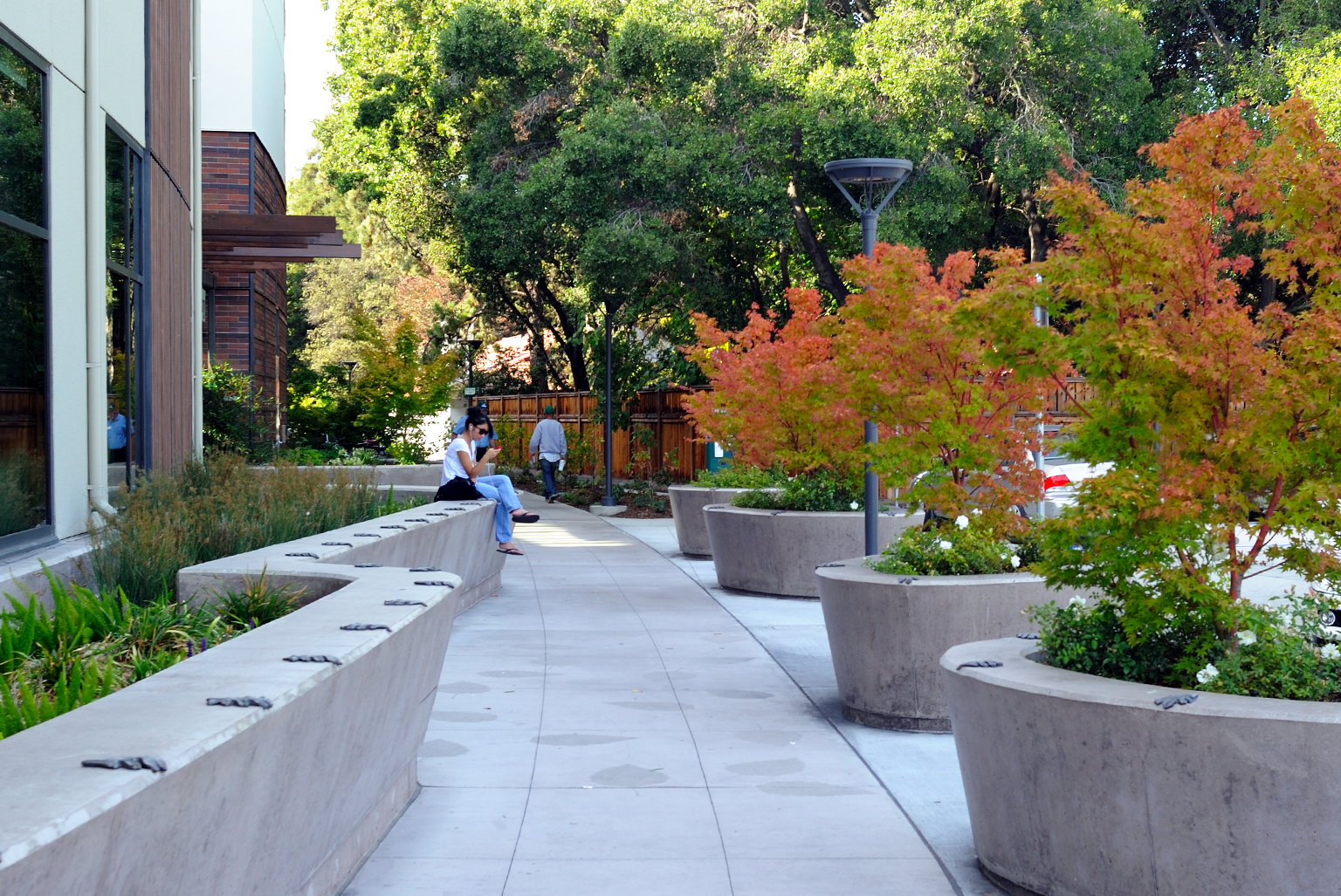 Walnut Creek Library