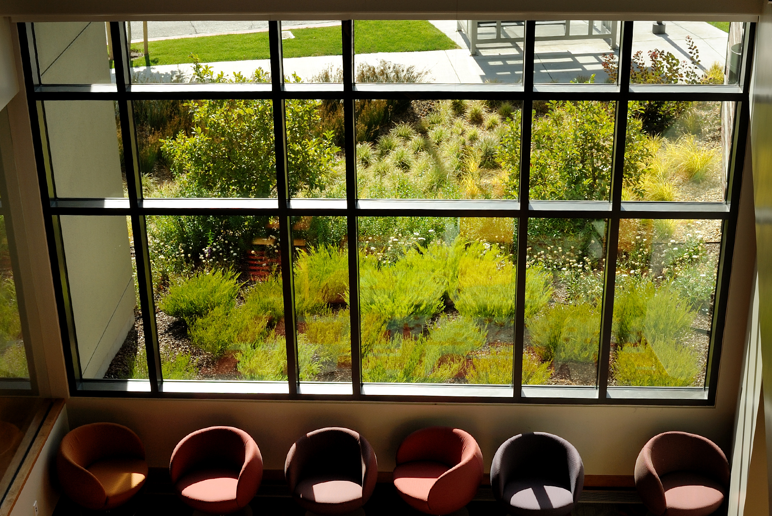 Walnut Creek Library