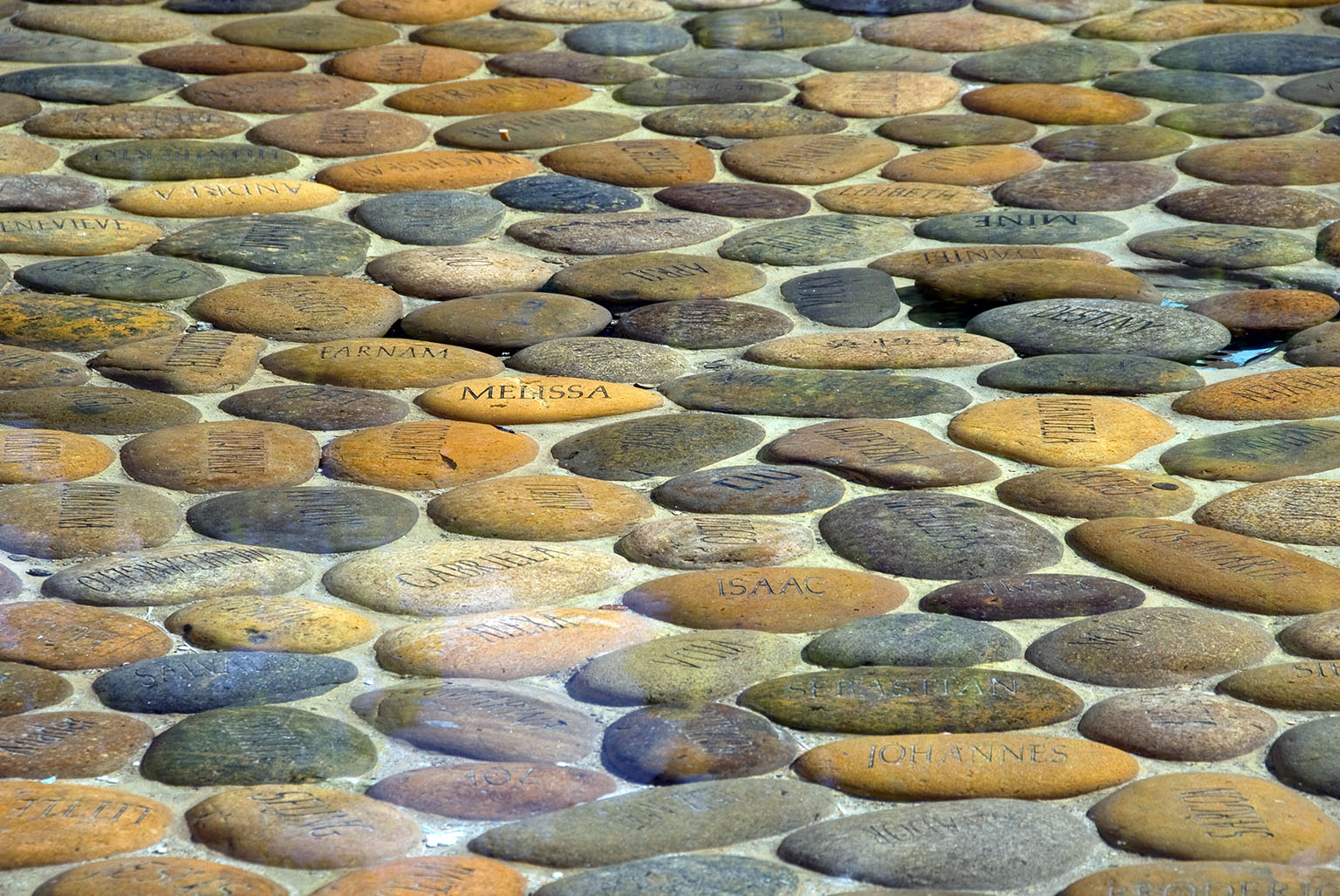 Guadalupe River Park