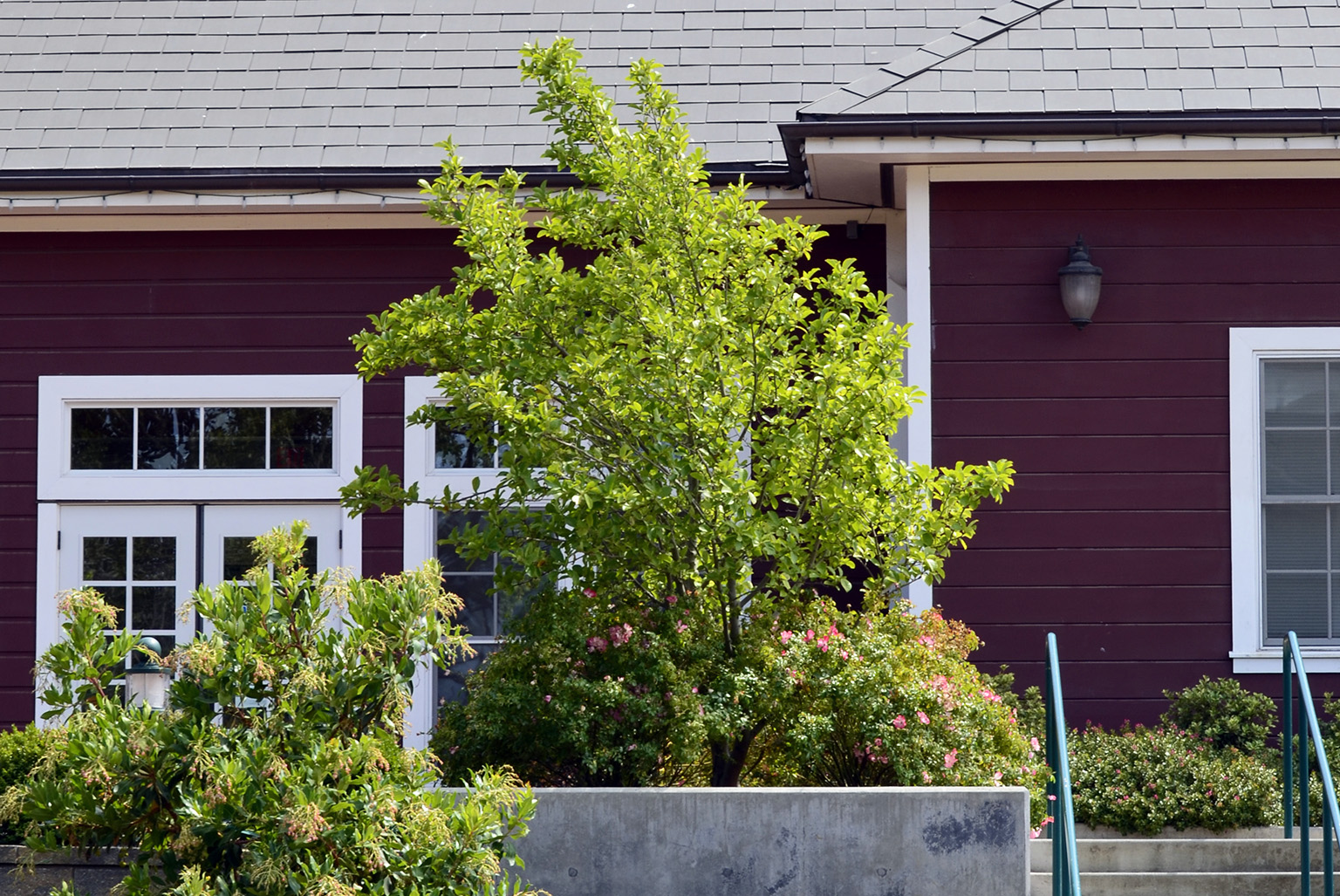 Novato Civic Center City Administration Office Building
