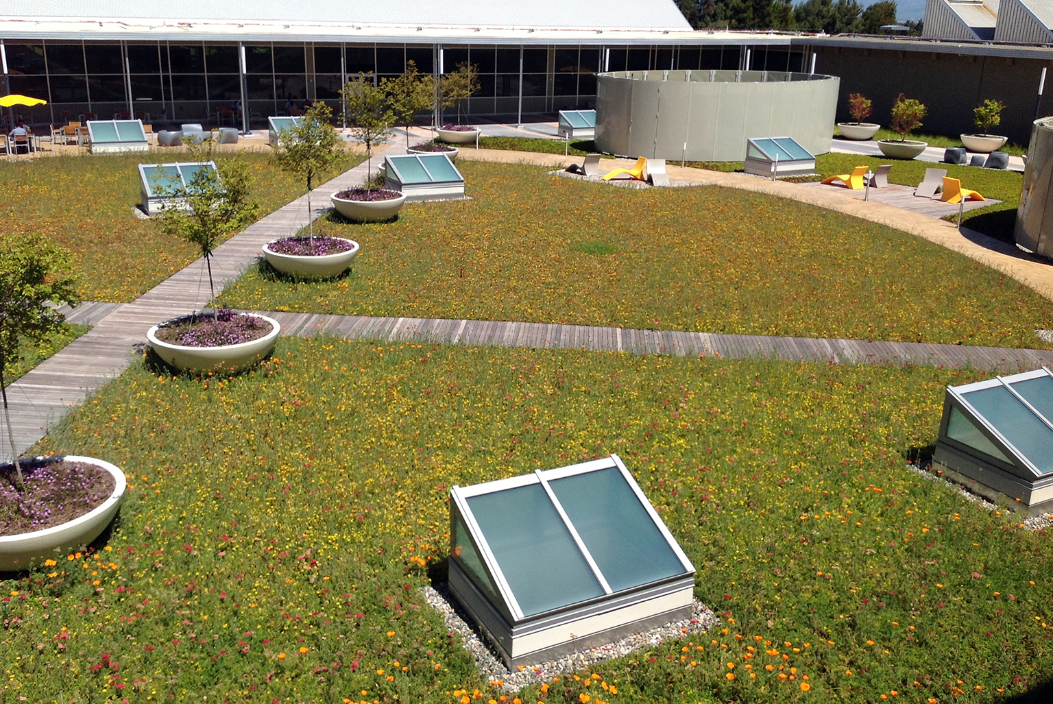 International Technology Campus, Green Roof