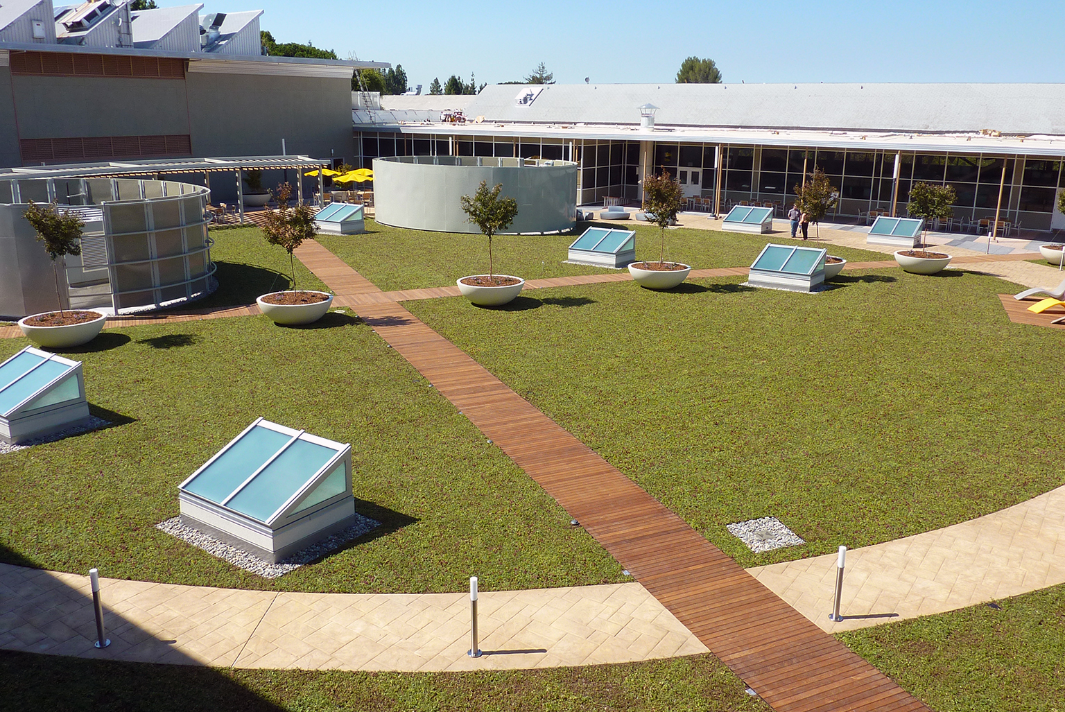 International Technology Campus, Green Roof