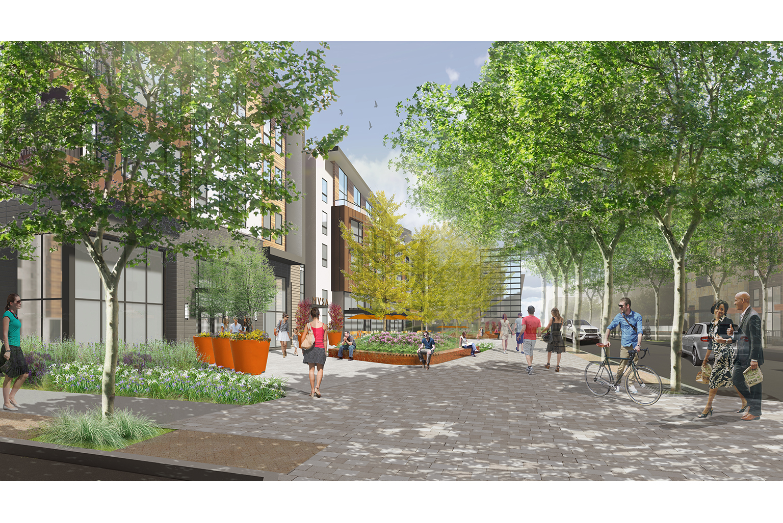 Mountain View | San Antonio