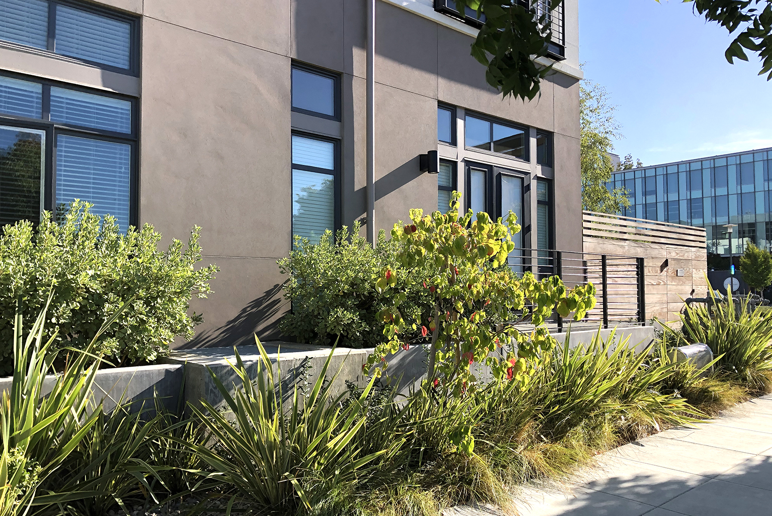 San Mateo Bay Meadows The Quimby