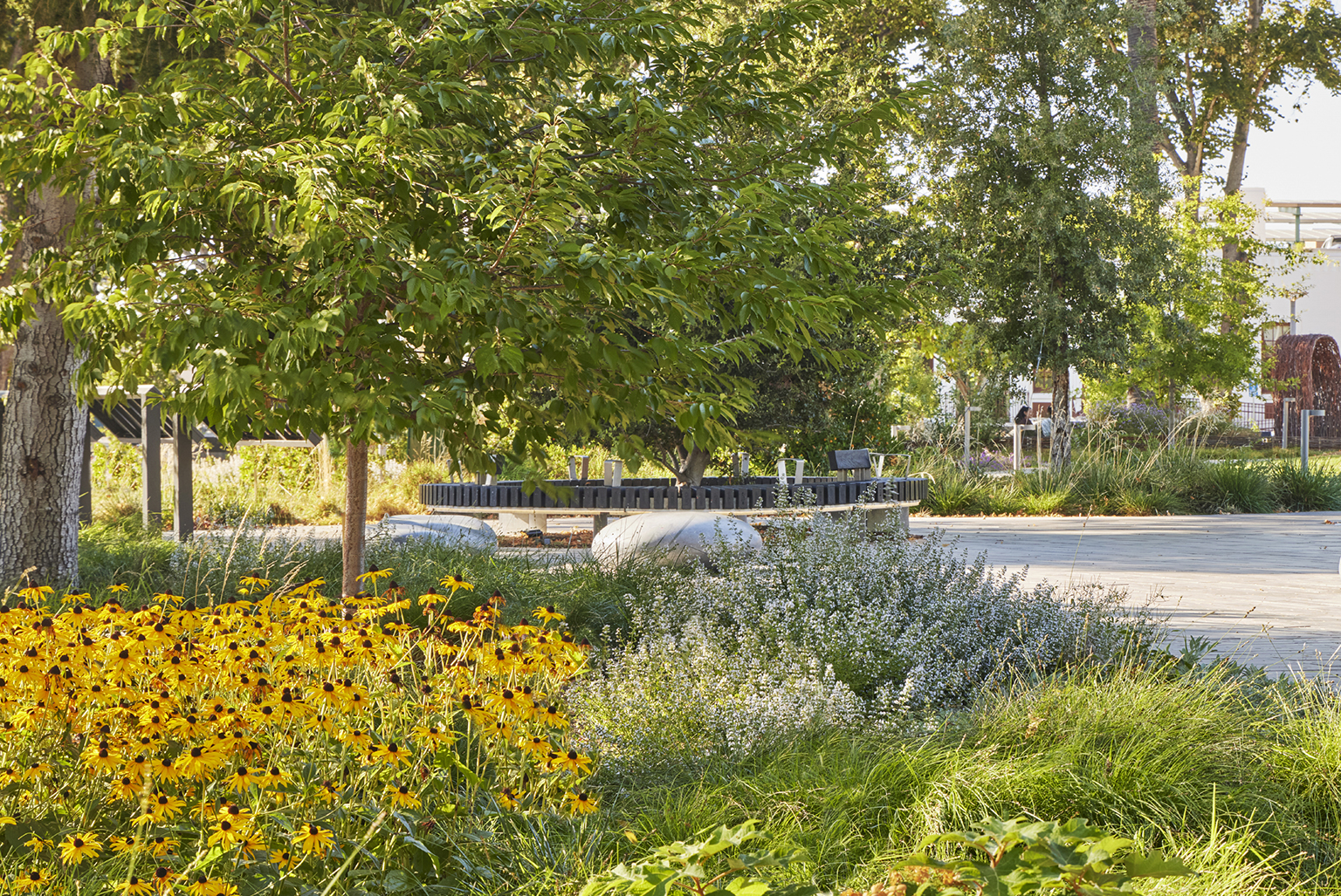 Hayward Library + Heritage Plaza